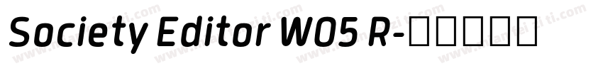 Society Editor W05 R字体转换